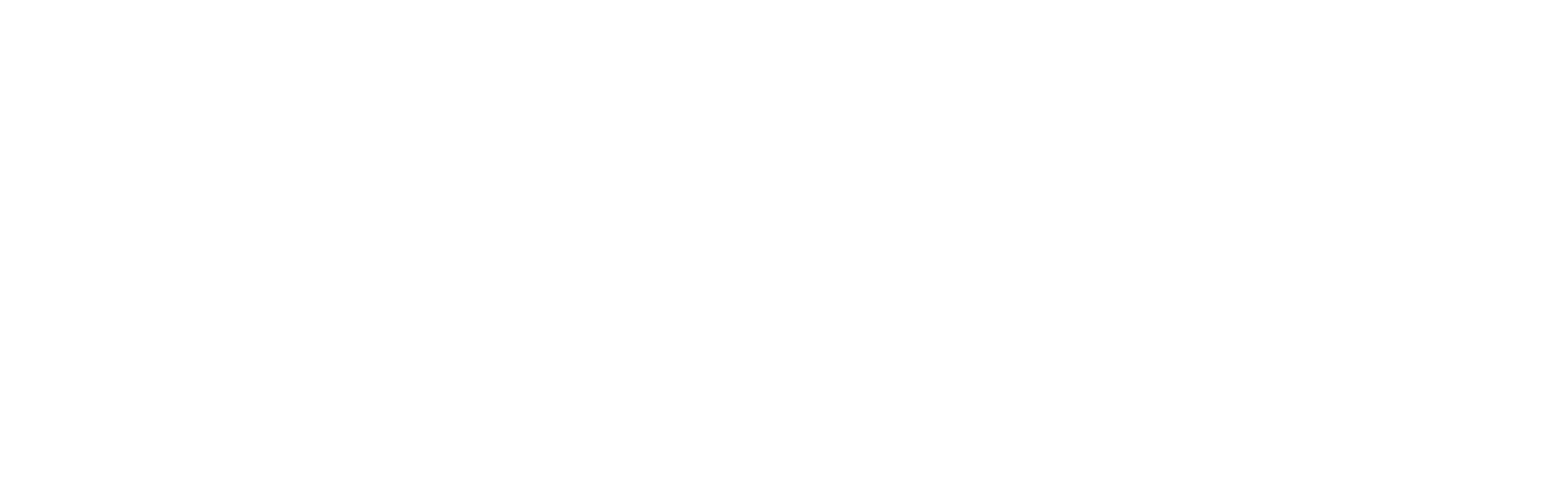 Logo ESA White @4X